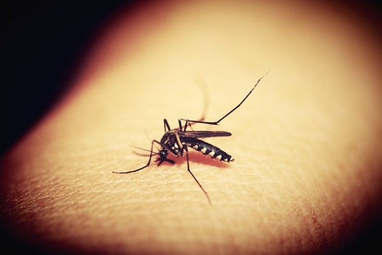 Jales confirma a primeira morte por dengue neste ano