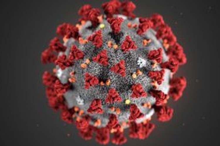 Brasil tem 43 mil casos de coronavírus e 2,7 mil mortes registradas