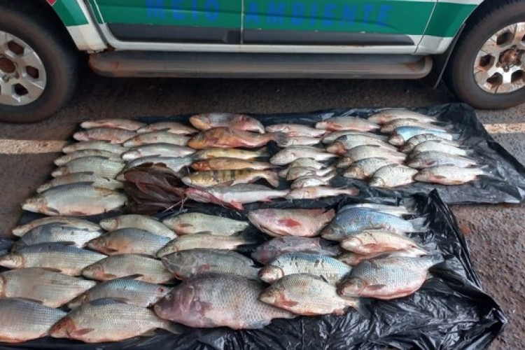 Homem é detido com 80kg de pescado ilegal em porta-malas de carro em Ituiutaba