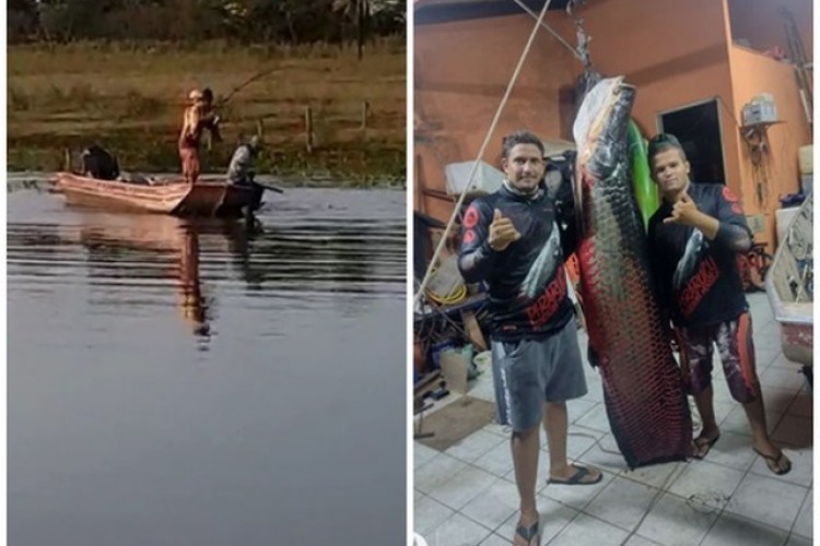 https://radiofm97.com.br/uploads/news/Jovem fisga pirarucu de mais de 115 quilos em rio do interior de SP: Não foi fácil tirar da água